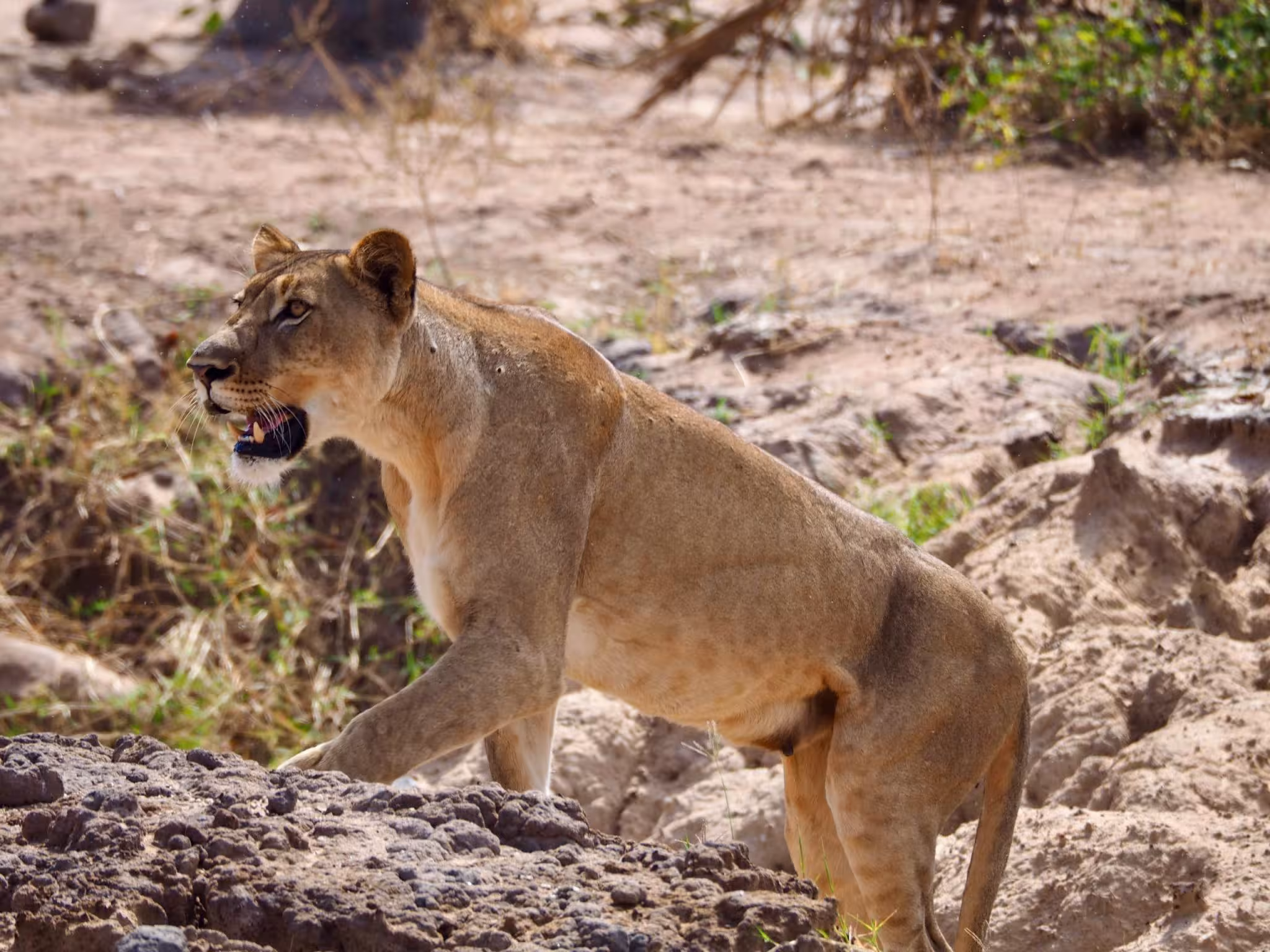 Kenya