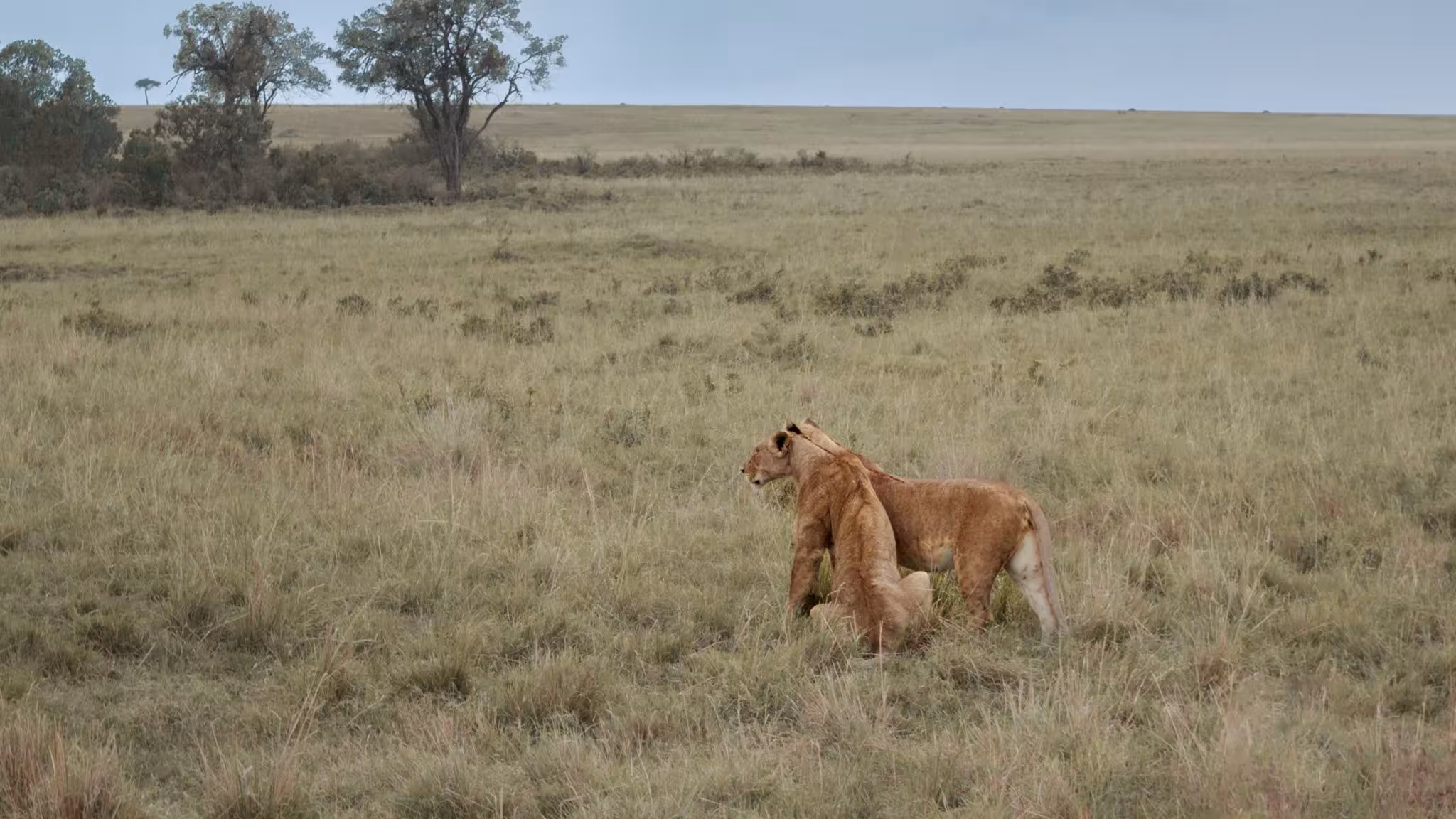 6 Day Magical Kenya Classic Safari