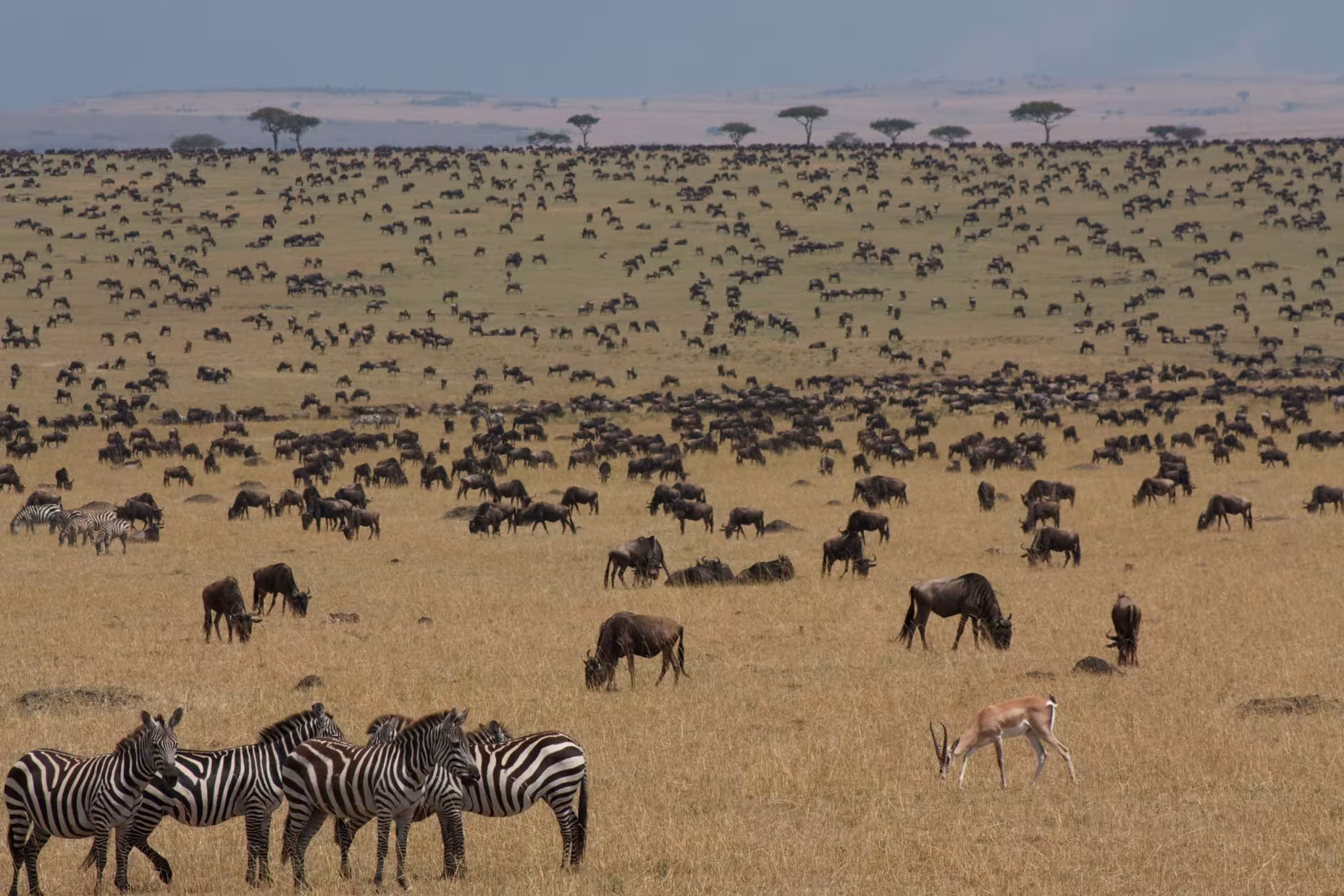 7 Day Kenya Wildlife Safari