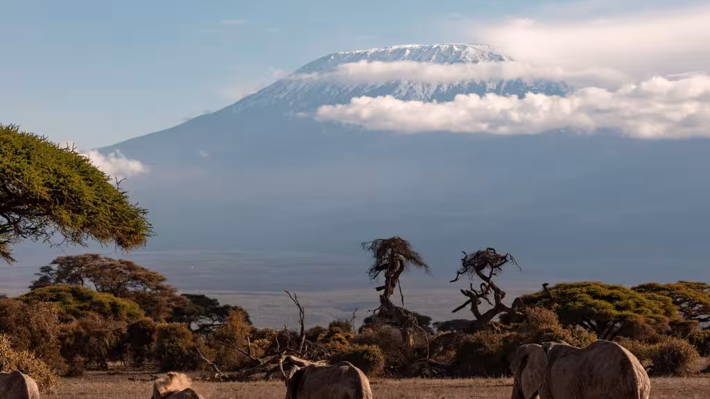 Luxury Kenya Safaris