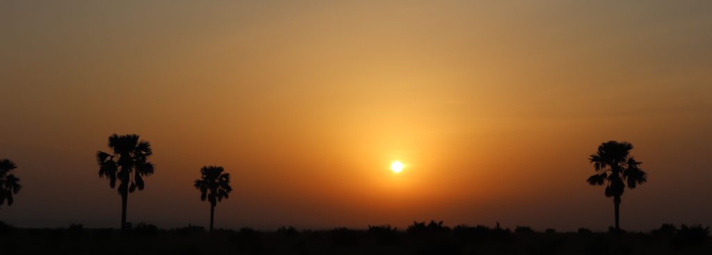 What is the Best Time For a Safari to Uganda