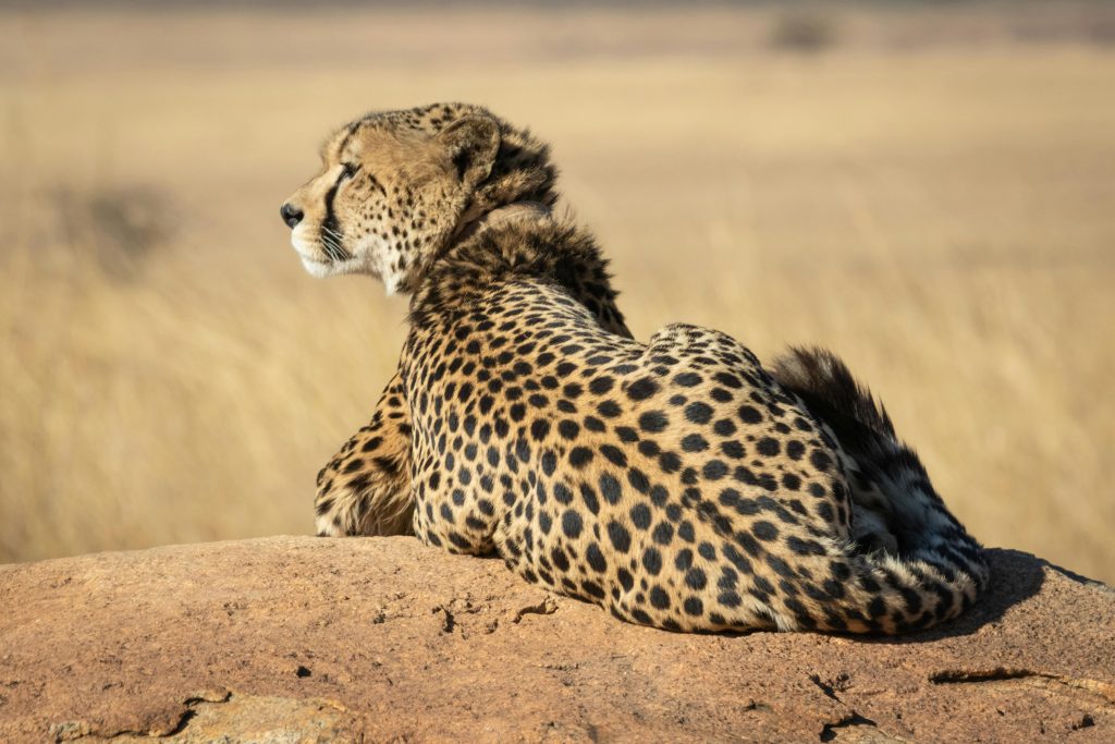 most-beautiful-places-in-africa