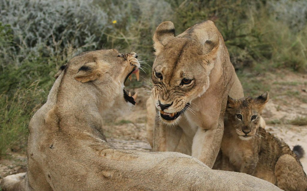 Serengeti National Park