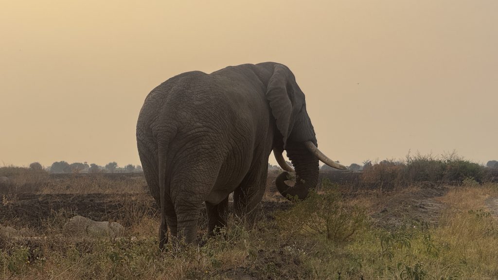 Attractions in Akagera National Park