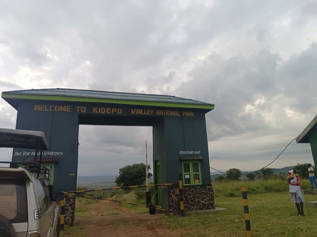 Entrance fees to Kidepo valley national park: Every person entering the Kidepo Valley National Park is required to pay an entrance charge