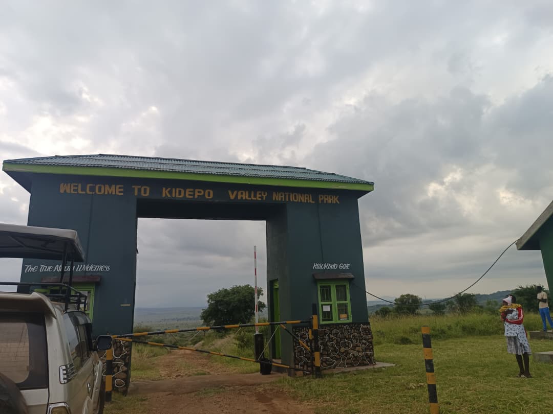 Entrance fees to Kidepo valley national park: Every person entering the Kidepo Valley National Park is required to pay an entrance charge