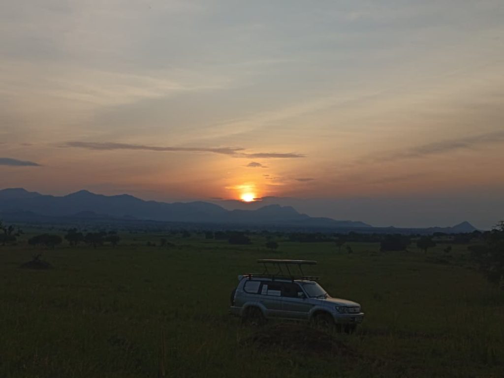 Using a vehicle to Kidepo Valley National Park