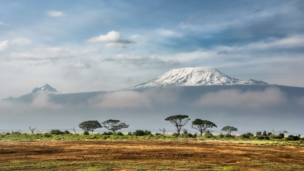14 Days Kilimanjaro Trek & Tanzania Safari Adventure