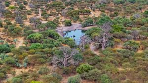 Tarangire National Park